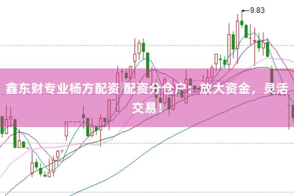鑫东财专业杨方配资 配资分仓户：放大资金，灵活交易！