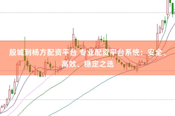 股城到杨方配资平台 专业配资平台系统:安全、高效、稳定之选