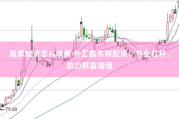 股票配资怎么收费 外汇鑫东财配资:专业杠杆,助力财富增值