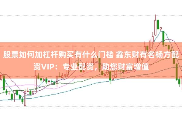 股票如何加杠杆购买有什么门槛 鑫东财有名杨方配资VIP：专业配资，助您财富增值