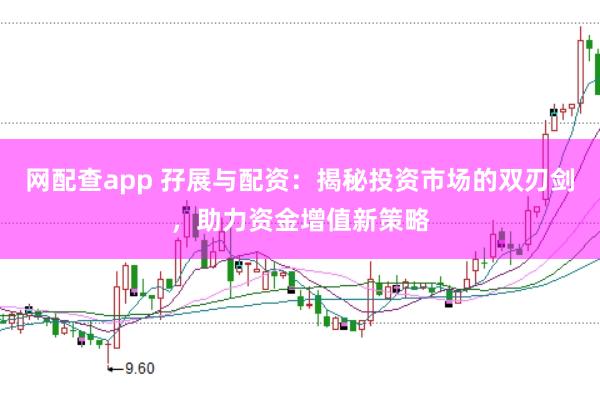 网配查app 孖展与配资：揭秘投资市场的双刃剑，助力资金增值新策略