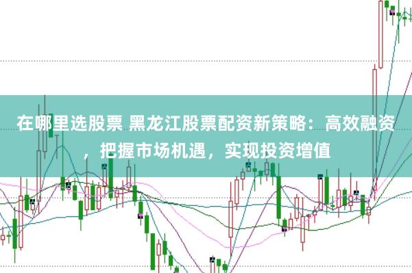 在哪里选股票 黑龙江股票配资新策略：高效融资，把握市场机遇，实现投资增值