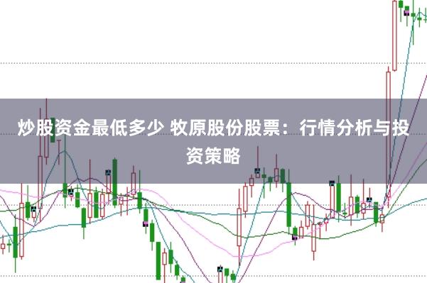 炒股资金最低多少 牧原股份股票：行情分析与投资策略