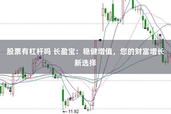 股票有杠杆吗 长盈宝：稳健增值，您的财富增长新选择