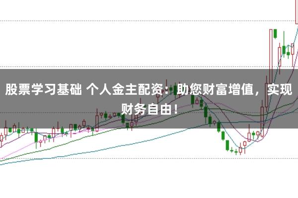 股票学习基础 个人金主配资：助您财富增值，实现财务自由！