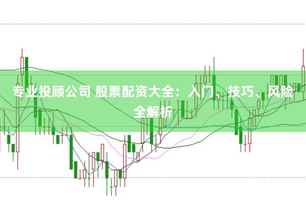专业投顾公司 股票配资大全：入门、技巧、风险全解析