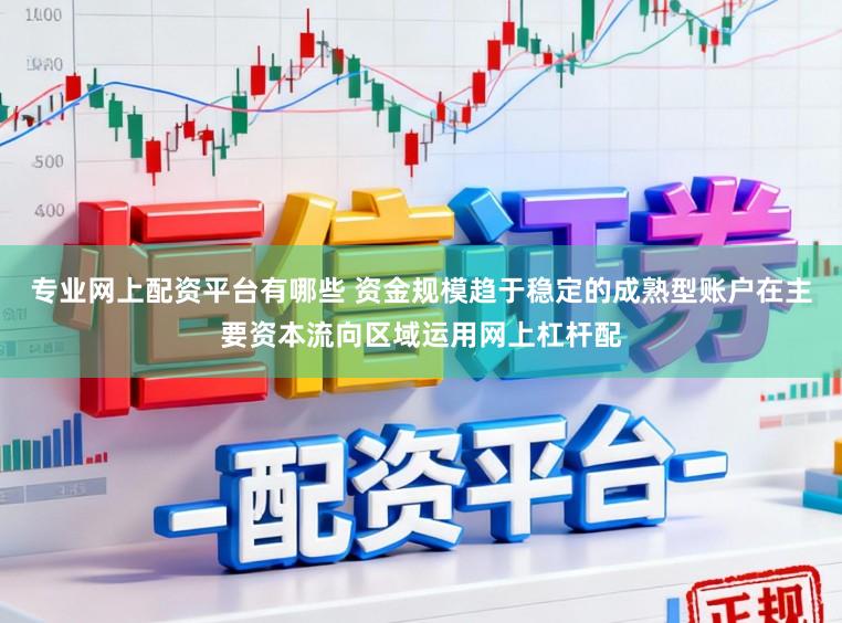 专业网上配资平台有哪些 资金规模趋于稳定的成熟型账户在主要资本流向区域运用网上杠杆配