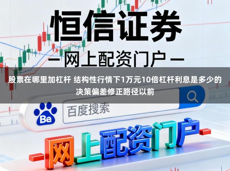 股票在哪里加杠杆 结构性行情下1万元10倍杠杆利息是多少的决策偏差修正路径以前