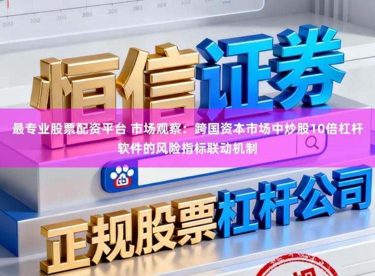 最专业股票配资平台 市场观察：跨国资本市场中炒股10倍杠杆软件的风险指标联动机制