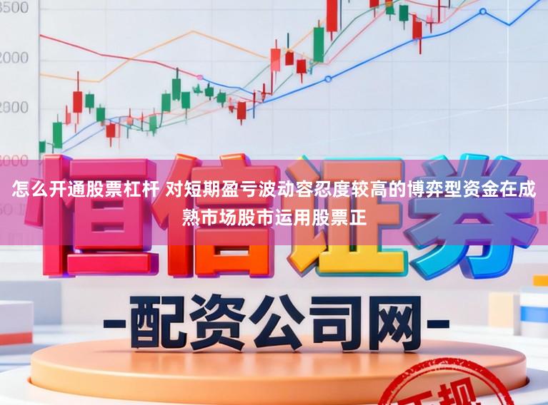 怎么开通股票杠杆 对短期盈亏波动容忍度较高的博弈型资金在成熟市场股市运用股票正