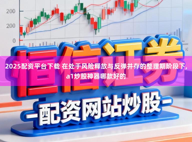 2025配资平台下载 在处于风险释放与反弹并存的整理期阶段下,a1炒股神器哪款好的